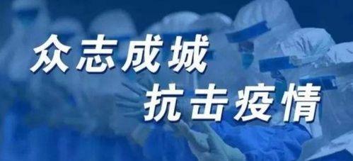 爆料冻货暴利事件案例视频,一场冰封下的财富盛宴  第2张