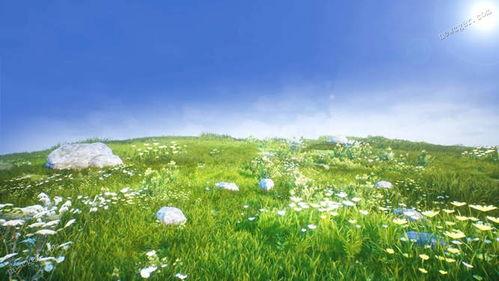 青青草原在线视频观看,青青草原在线视频精彩回顾 第1张 青青草原在线视频观看,青青草原在线视频精彩回顾 第1张