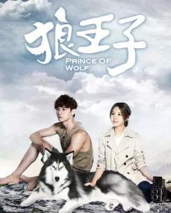狼王子在线观看18,18岁青春冒险之旅  第3张